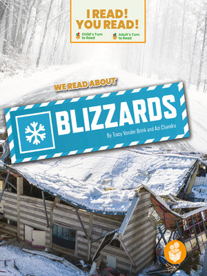 We Read About Blizzards - ebook